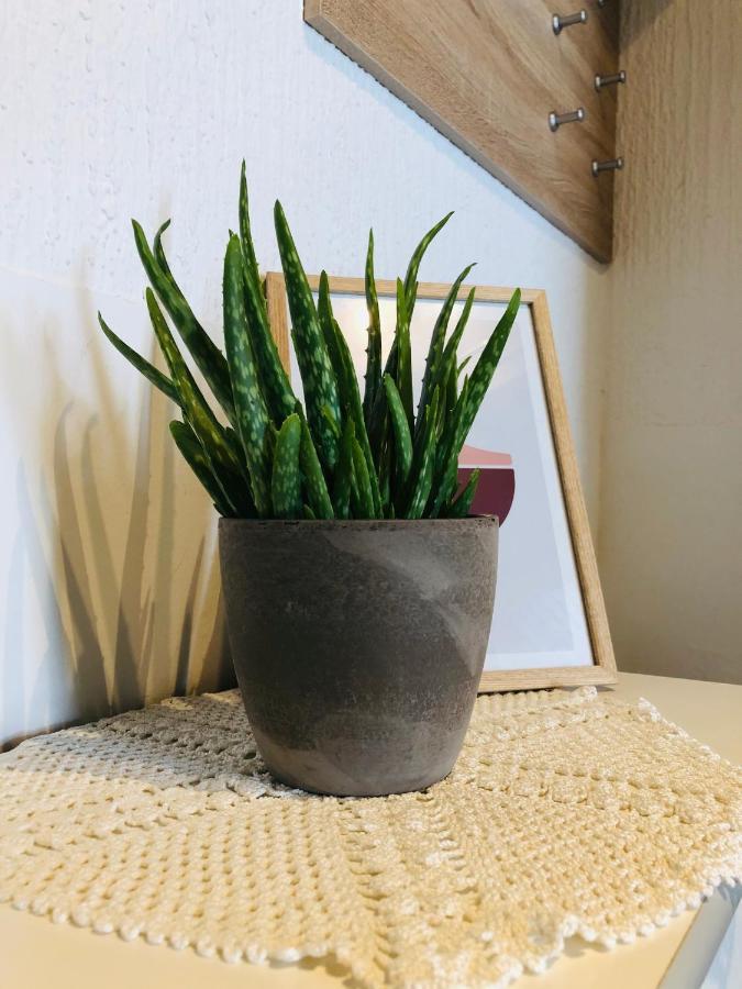 Apartma Domenika Ptuj Esterno foto